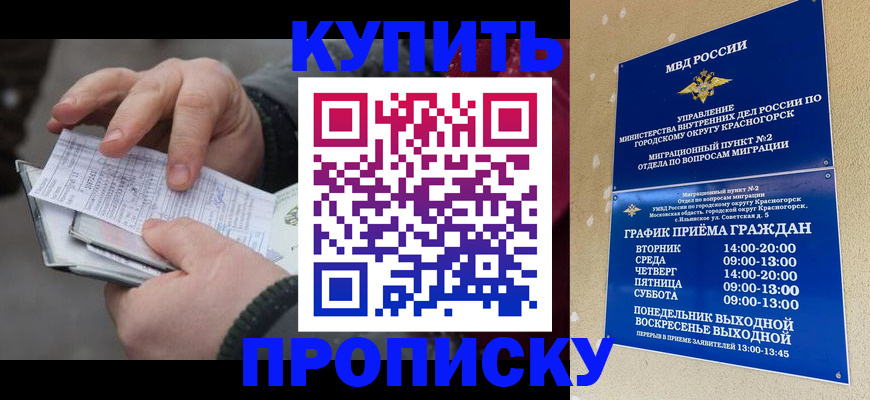 временная регистрация недорого в Мытищах